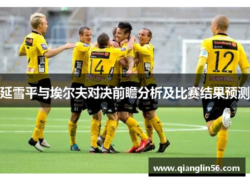 延雪平与埃尔夫对决前瞻分析及比赛结果预测